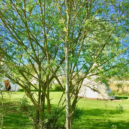 Les Tipis Du Bonheur De Vivre Campingplads